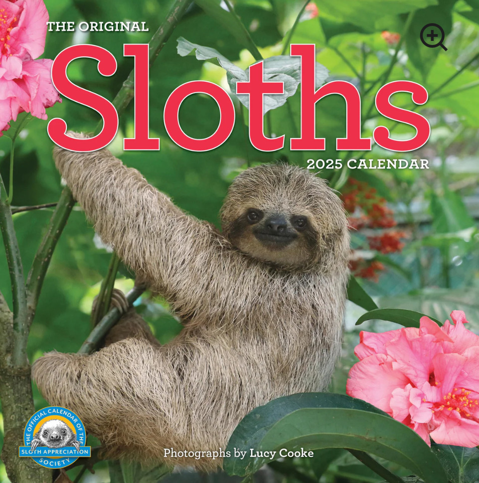 Sloth Calendar 2025