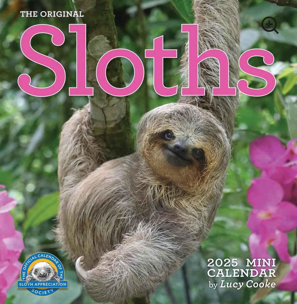 Sloth Calendar Mini 2025